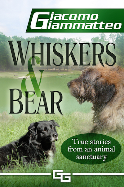 Whiskers and Bear by Giacomo Giammatteo
